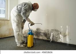 Best Biohazard Mold Removal  in Flint Hill, MO